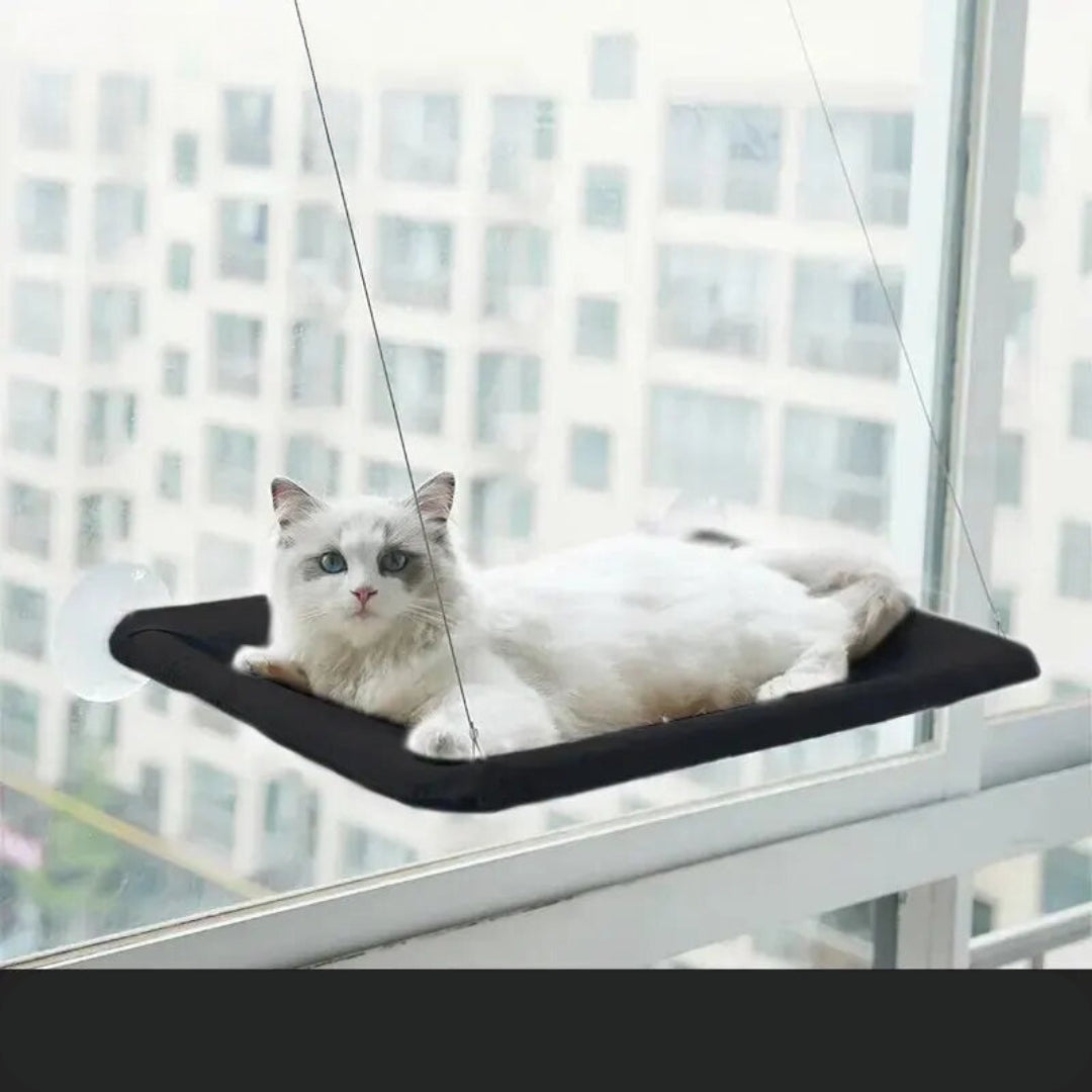 Hamac de Fenêtre pour Chat