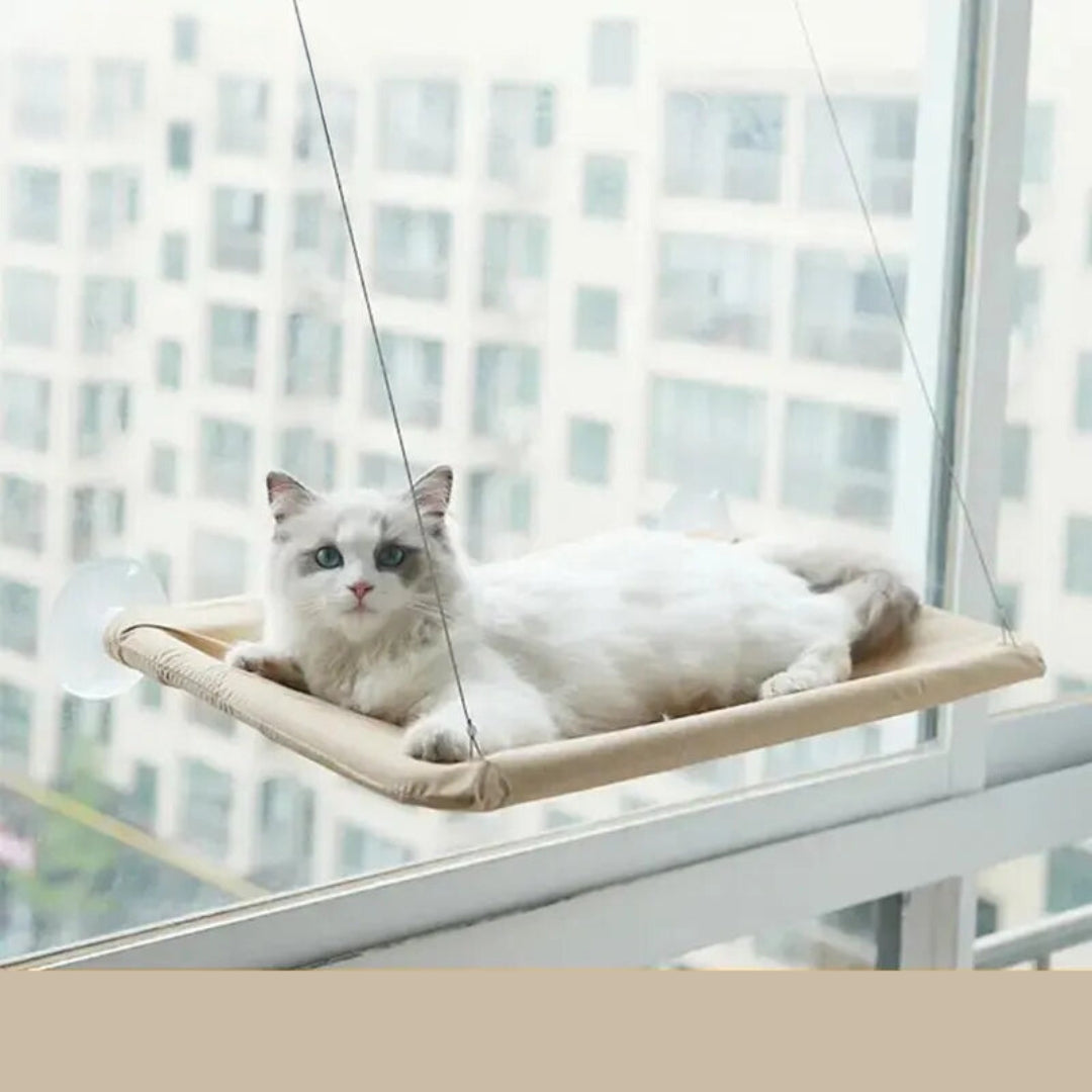 Hamac de Fenêtre pour Chat