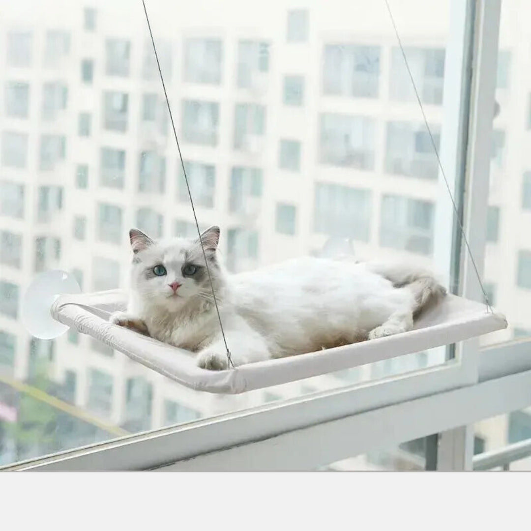 Hamac de Fenêtre pour Chat